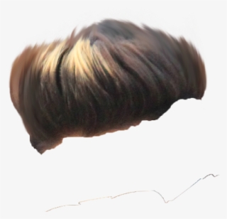 Hair Png ➤ Download - Bun