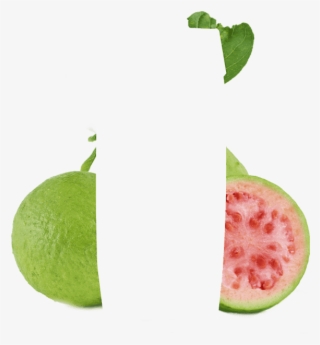 Pink Guava Pink Guava - Superfood