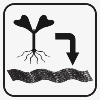 Indicator For Transplant