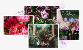 Contact Us To Discuss Your Special Event, Wedding, - Floribunda
