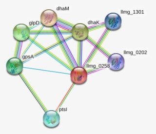 Llmg 0258 Protein - Diagram