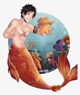 Mermaid Anatomy - One Piece Fanfiction Merman