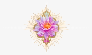 Lotus Divider - Passion Flower