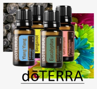 Doterra Images For Social Media - Bottle