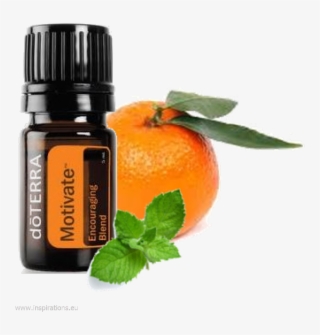 Doterra Motivate Ermutigende Mischung 3206 Major Erika - Doterra Motivate