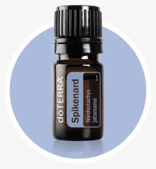 Douglas Fir Doterra