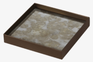 Tgn 020384 Fossil Organic Petite Glass Tray Metal Rim - Ceiling