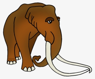 Fossil Clipart Phillip Martin - Indian Elephant