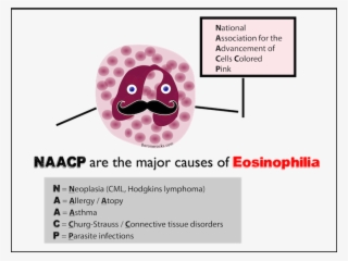 Naacp Mnemonic For The Major Causes Of Eosinophilia - Hematology Mnemonics