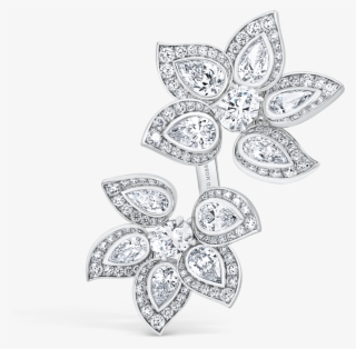 Ph 11 002 01 F2 Phoenix - Line Art