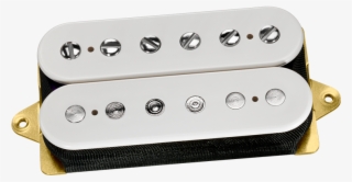 The Tone Zone® Dp155 - Dimarzio 36 Anniversary Paf