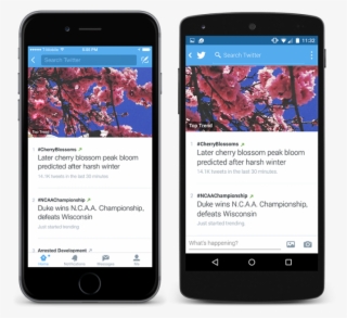 Activity About Us Android