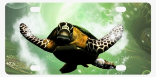 Hawksbill Sea Turtle