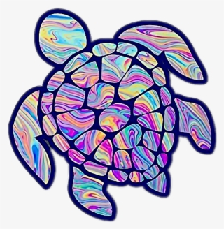 Turtle Sticker