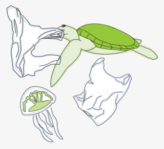 It's Estimated That Over Half Of All Sea Turtles Have - Sketch