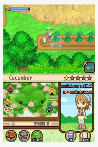 Harvest Moon Ds The Tale Of Two Towns Nds