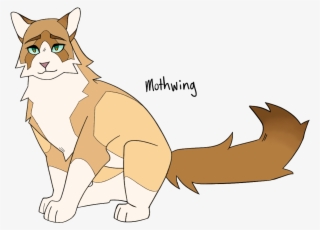 Image - Cat Yawns