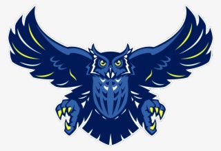 Blue Owl Png - Rice Owls
