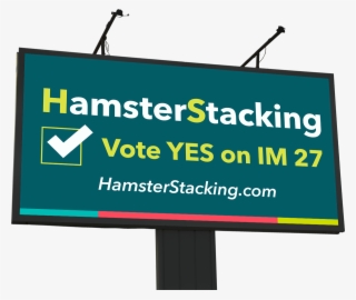 You Can Never Be Assured Of What Exactly Your Reactions - Mister Lady