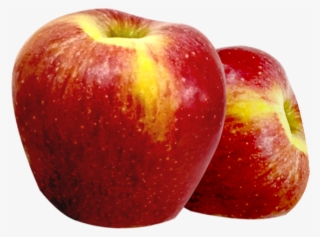 Safarjan 1kg - Mcintosh