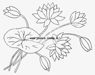 Antique Designs Borduren Png - Line Art