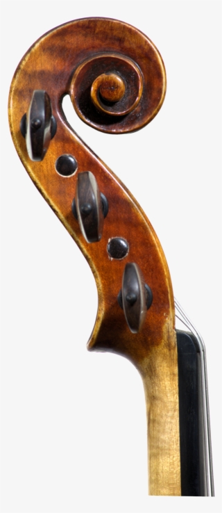 Classic5 Scroll - Violin