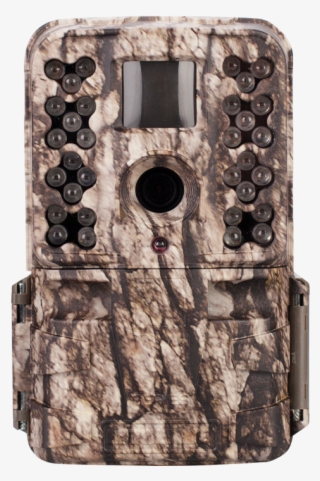 M- - Camera