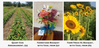 We Will Style A Bouquet Of Farm Fresh Flowers With - Bouquet