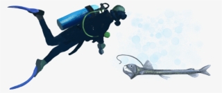 Dsd-diver - Illustration