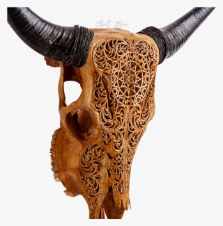 Bull