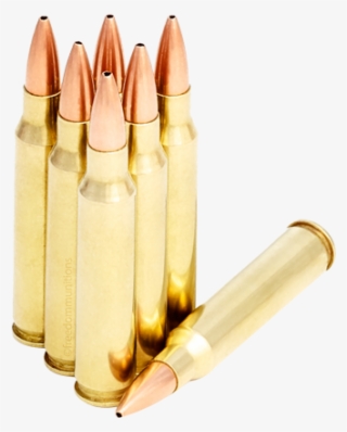 Winchester 223s 69grain