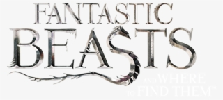 Fantastic Beasts And Where To Find Them - Calligraphy