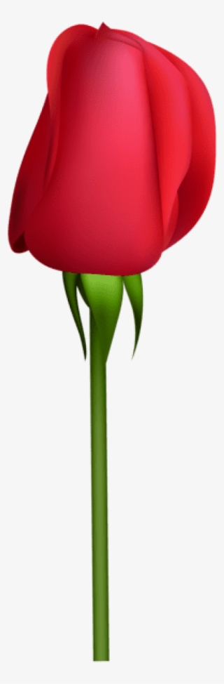 Red Rose Bud Painted Clipart - Rose Bud Clip Art - 328x501 PNG Download ...