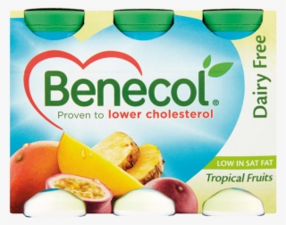 Benecol Dairy Free Drink Tropical 6pk - Benecol Yogurt Drink
