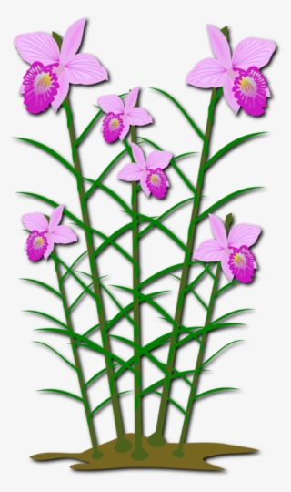 Moth Orchids Cut Flowers Computer Icons - ตัด ปะ ดอกไม้