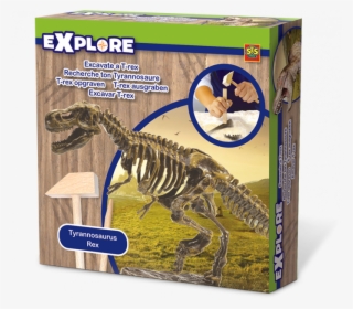 Explore Excavate A T-rex - Tyrannosaurus Rex Kosti