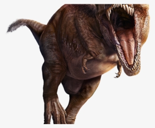 Velociraptor