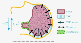 Patient-specific Biomechanical Simulation For Deep - Diagram