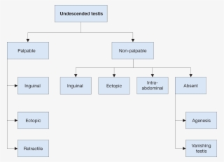 Classification Of Undescended Testes