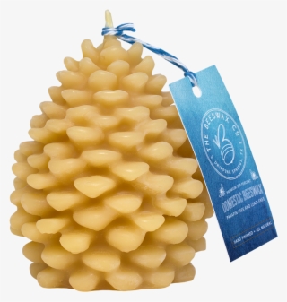 Pine Cone - Drinking Straw