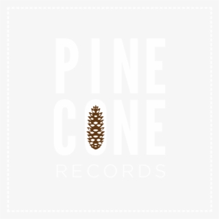 Pinecone Records Pinecone Records - Graphic Design