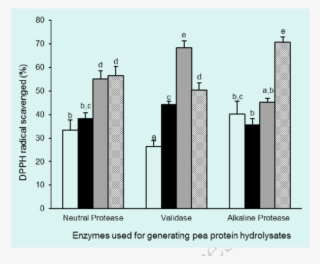Dpph @bullet Scavenging Capacity Of Pea Protein Hydrolysate - Commercial Building