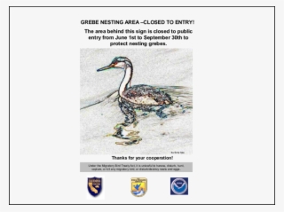 Draft Closed Area Sign For Grebe Conservation At Recreational - Vegetation Map Of California
