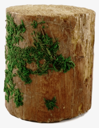 Decorative Tree Stump E - Tree Stump