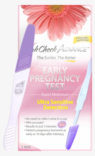 Results In Just 3 Minutes - Barberton Daisy