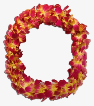 Double Orch - Circle