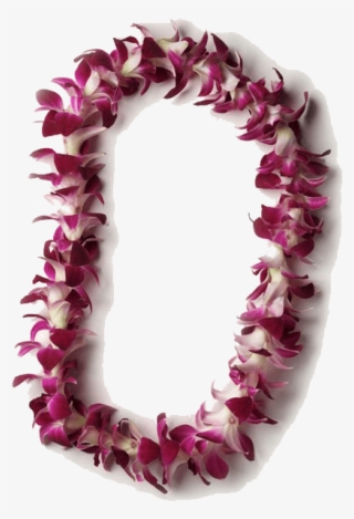 Single Orch - Single Orchid Lei