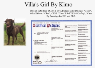 Lei Page - American Kennel Club