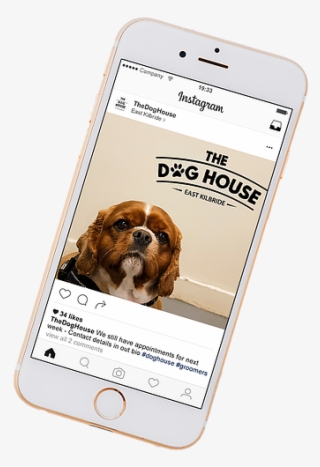 Insta 2 - Puggle