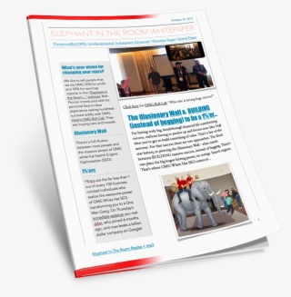 Your 3-page "elephant In The Room" Webinar Whitepaper - Flyer